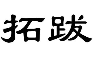 猪年拓跋姓宝宝起名字