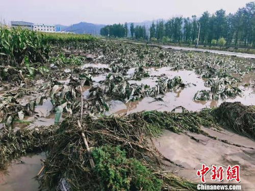 强降雨致山西多县遭受严重洪涝灾害,已致10死1失踪