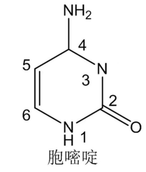 药物结构中常见的化学骨架及名称