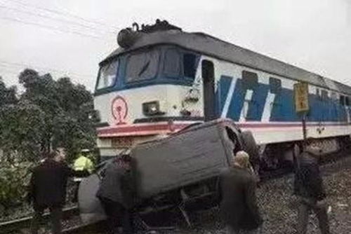 同时被列车撞击的难兄难弟 记金温线2016年列车道口撞车事故