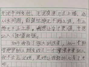 他惊呆了作文