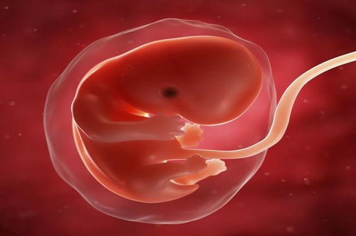 原创想让胎儿健健康康的出生，孕晚期这四件事一定不能忽略