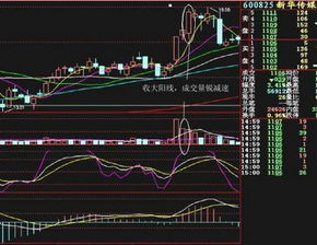 怎么看一个人的炒股资金量是多少呢？