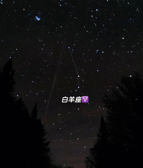 星座分享 讨厌白羊座 