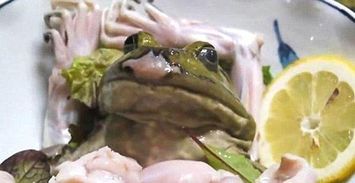 我的天,生吃牛蛙,熟的我都不敢吃