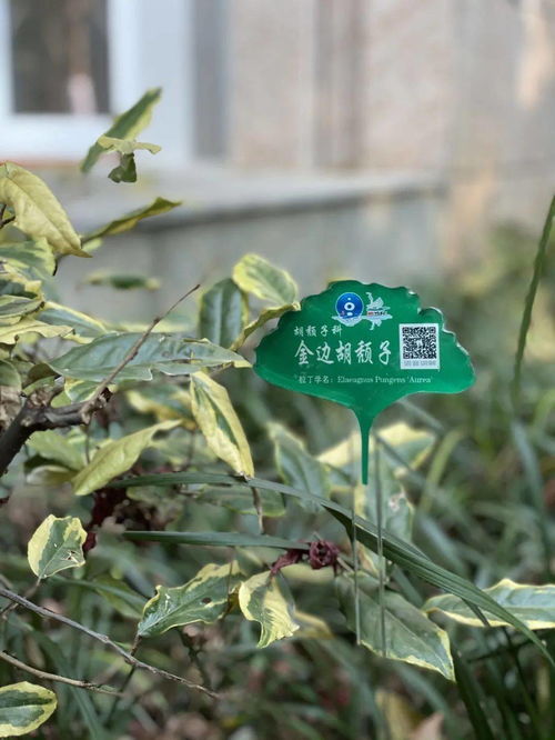 听,这里的植物会说话