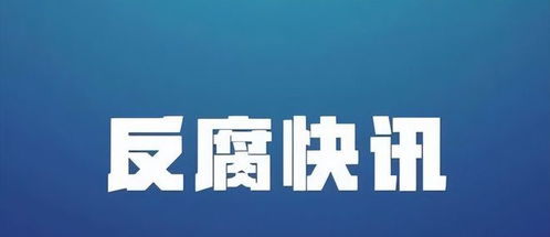 6月4日凌晨,又有12人被查,有漂亮母老虎,还有名字很搞笑的 副主任 网易订阅 