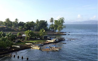 丝路同行丨关于巴布亚新几内亚10个冷知识,告诉你一个真实的新几内亚
