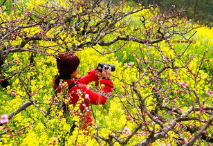 跌落花海 飞升上神逛天宫