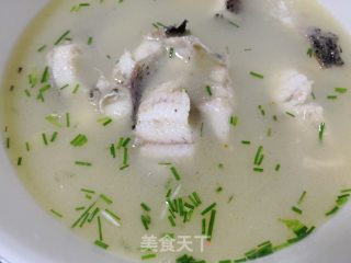 黑鱼汤的做法大全 黑鱼怎样做汤好吃？ 