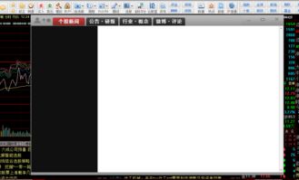同花顺个股资讯打开无内容