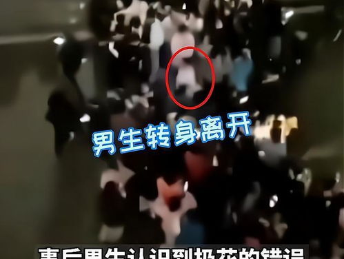 大学生表白被拒,扔花砸中路人,网友 拒绝得好