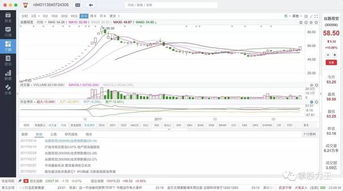 上海家化股票为什么一直跌
