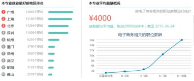 信息系统项目管理高级，信息管理与信息系统就业方向及前景