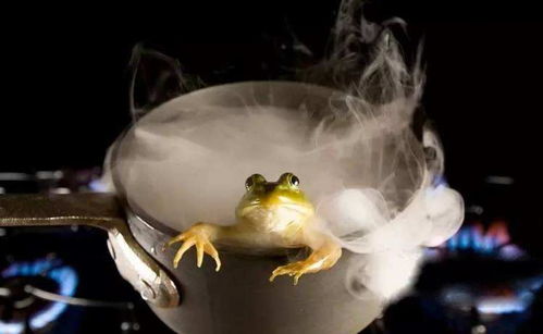温水煮青蛙 最后怎么样 科学家直接实验,网友 还是人吗