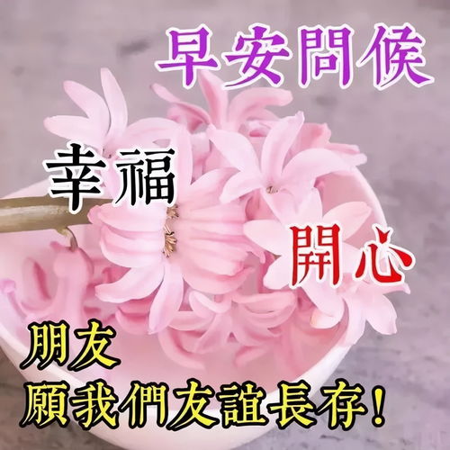 早上好问候语图片,早安祝福语图片表情大全唯美