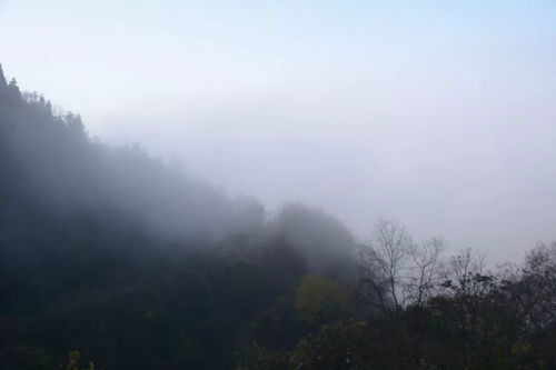 山居实拍丨几张图告诉你山上的雾有多大