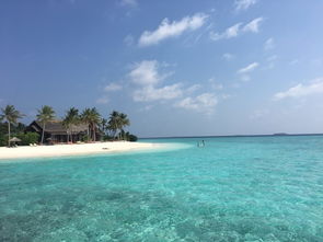 马尔代夫芙拉玛丽岛海滩美景与悠闲度假