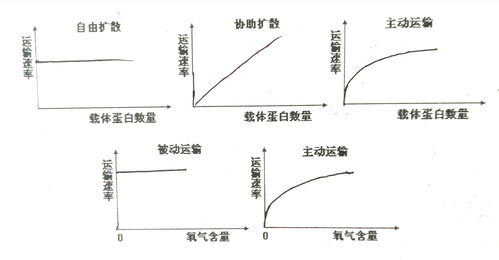 哔哩哔哩专栏 