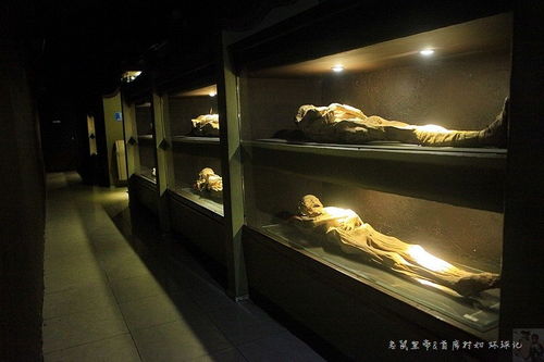图揭世界上最恐怖的人尸博物馆 