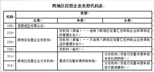 分支机构如何进行纳税申报