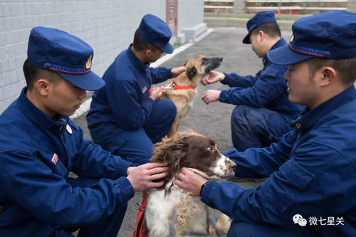 来生,还要继续做你们的训导员 视频泪奔 