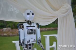 去年主持金鹰节颁奖的机器人现身 跨界主持婚礼
