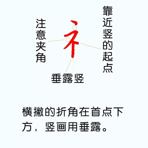 汉字81种偏旁部首的写法 