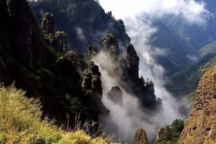 湖北旅游必去的十大景点,湖北旅游景点排名前十名