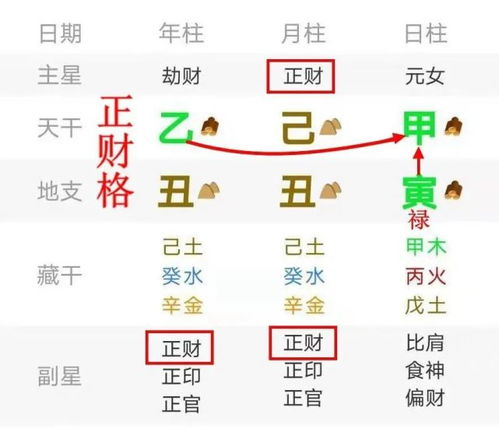 贾玲最佳拍档 张小斐八字命理分析