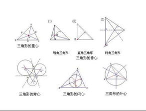 三角形的高怎么画 图