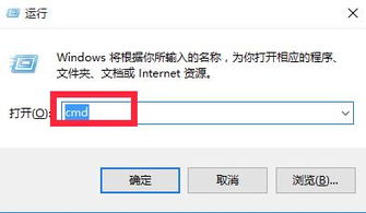 win10电脑插上网线无法连接网络