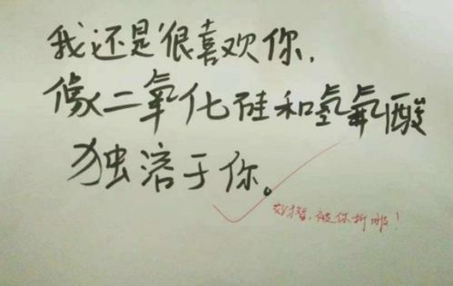 高中学霸偷偷写下的情书,学渣都说肉麻 老师 我喜欢这样的学生