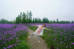 孕妇梦见蒙蒙细雨(孕妇梦见大雨)