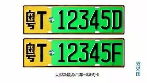 定了 下周一,来火炬区见证这件中山人千呼万唤始出来的粤T界大事