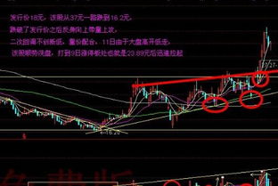 给推荐几支股票吧谢谢