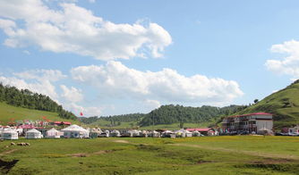 宝鸡关山牧场2日游 住古帐营榻榻米独立卫生间