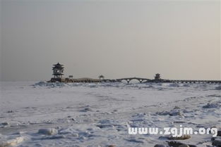 梦见海水涨潮是什么意思 