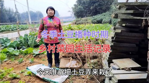 广东白云学院论文查重软件使用技巧分享