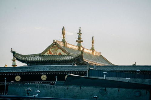 合作最大的寺庙,占据一片大山,蔚为壮观