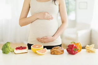 孕妇营养补充(怀孕要吃什么补充营养)