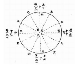 辰的字形结构 