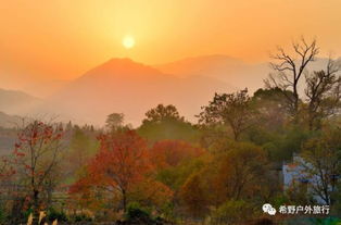 塔川赏菊 11 01 11 03 赏菊花梯田 登土楼雕楼 观塔川秋色