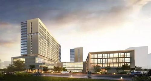成都再建 高端三甲 医院,预设1028张床位,城南居民有福气
