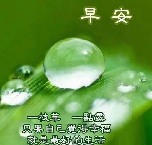 下雨天励志照片高清,雨天早上的祝福语？