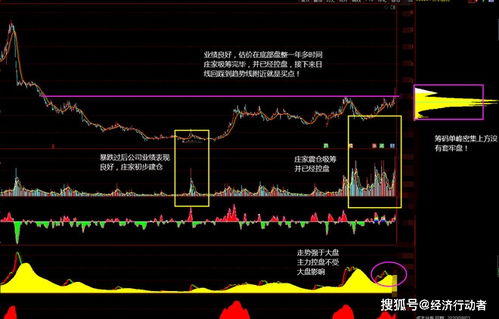 601139今天发业绩好怎么跌的是机构吸货吗