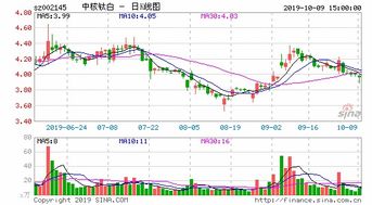 ST张家界今天为什么停牌重组？