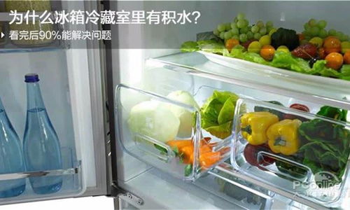 冰箱冷藏室经常有积水教你快速找出原因,让冰箱永不积水 