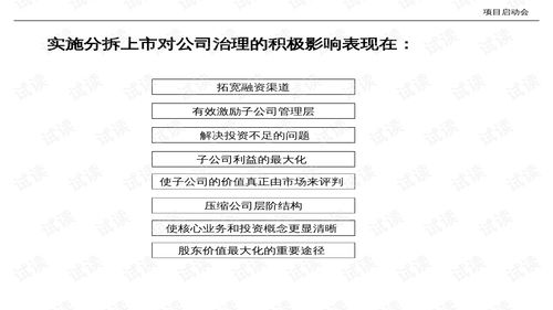 XX资源集团产业整合初步方案.ppt