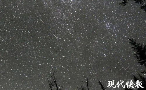 流星雨之王 要来啦 每小时可许愿10次